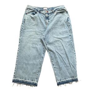 Lane Bryant Flex Magic Waistband Jeans